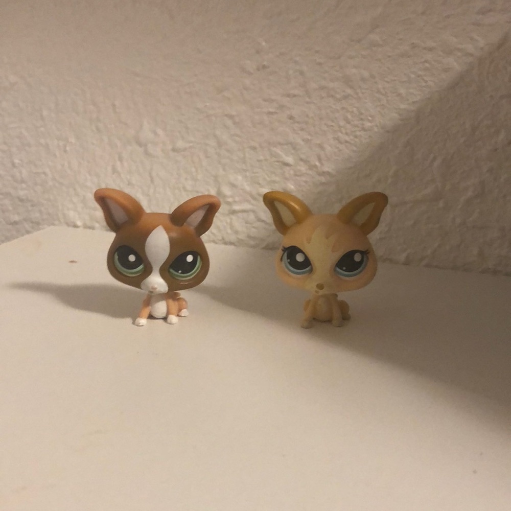 Lps dogs